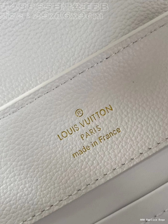 Aaa replica bags BB-29*16.5*9CM LOUIS VUITTON CAPUCINES 0816